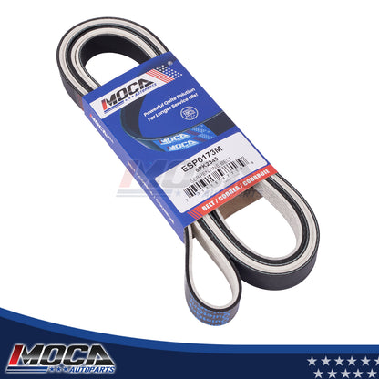 MOCA Serpentine Belt - ESP0173M