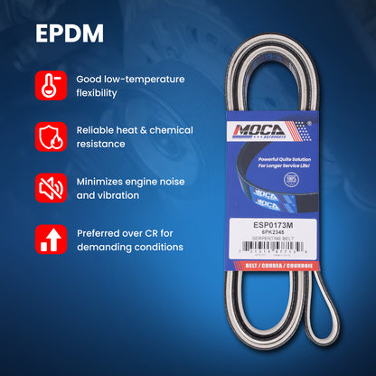 MOCA Serpentine Belt - ESP0173M