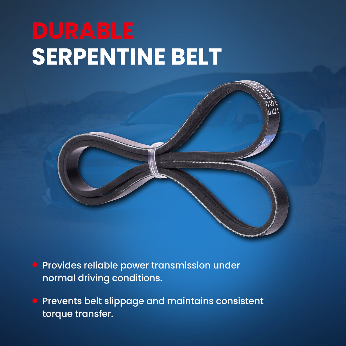 MOCA Serpentine Belt - ESP0201