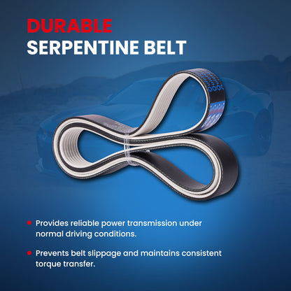 MOCA Serpentine Belt - ESP0213M