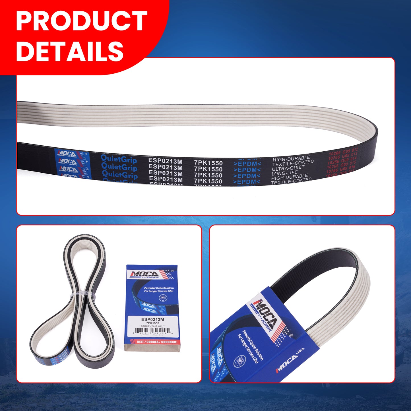 MOCA Serpentine Belt - ESP0213M