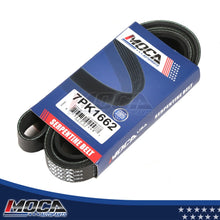 MOCA Serpentine Belt - ESP0219