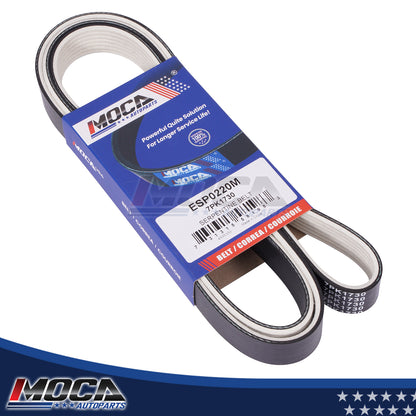 MOCA Serpentine Belt - ESP0220M