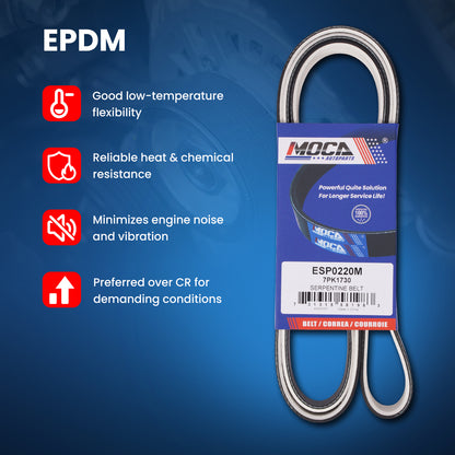 MOCA Serpentine Belt - ESP0220M
