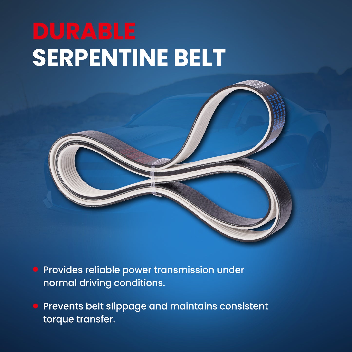 MOCA Serpentine Belt - ESP0220M