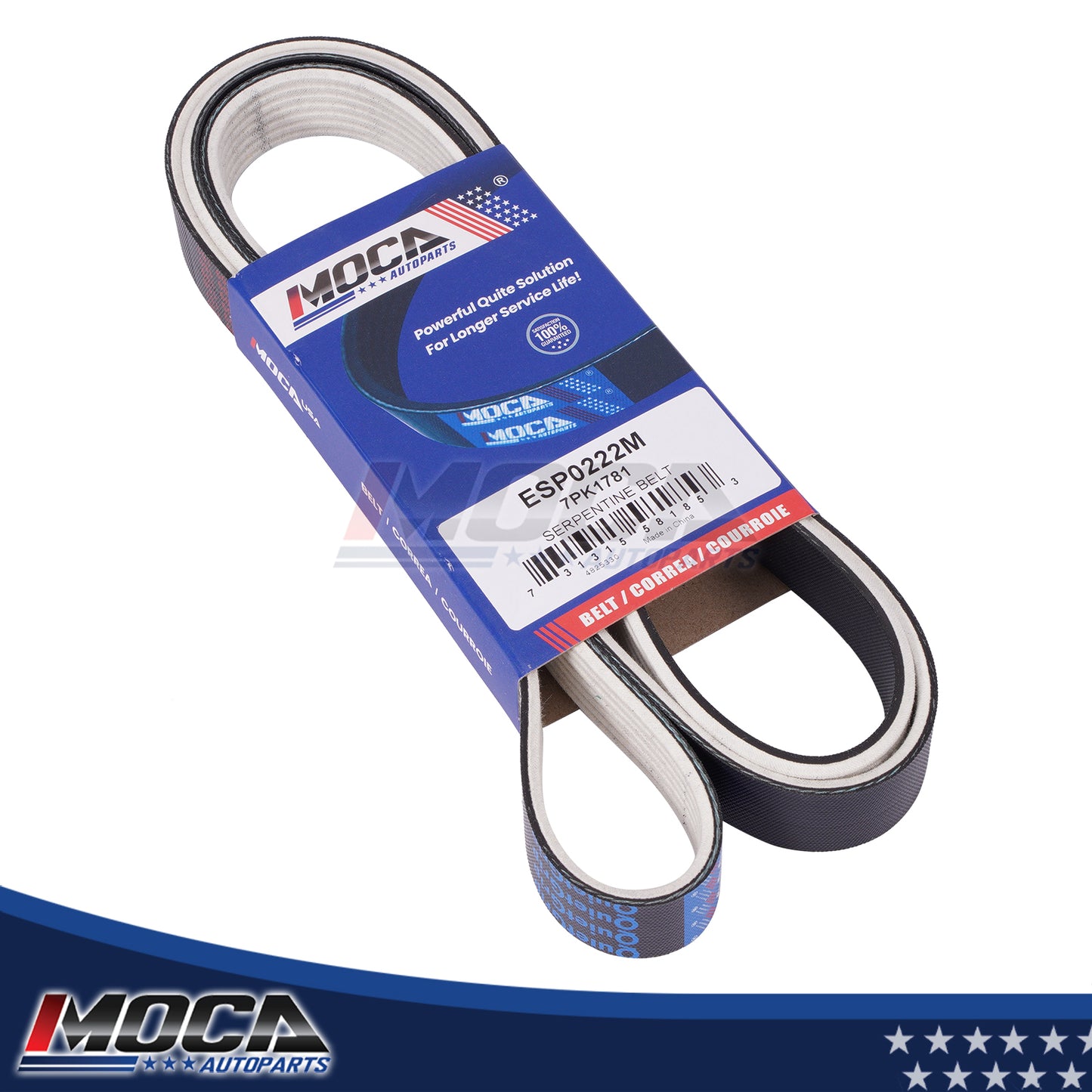 MOCA Serpentine Belt - ESP0222M