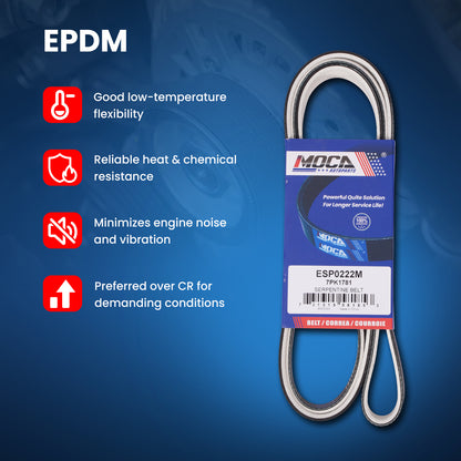 MOCA Serpentine Belt - ESP0222M