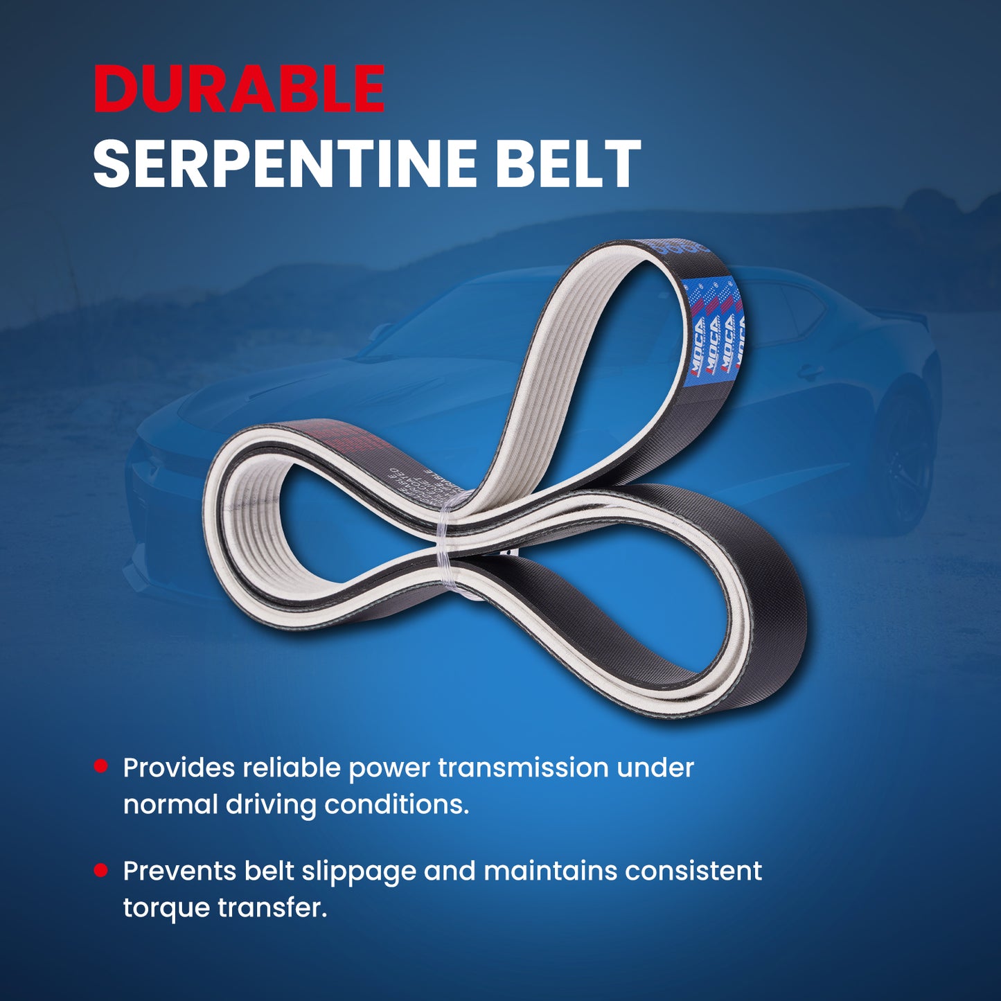 MOCA Serpentine Belt - ESP0222M
