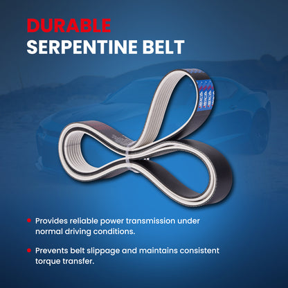 MOCA Serpentine Belt - ESP0222M