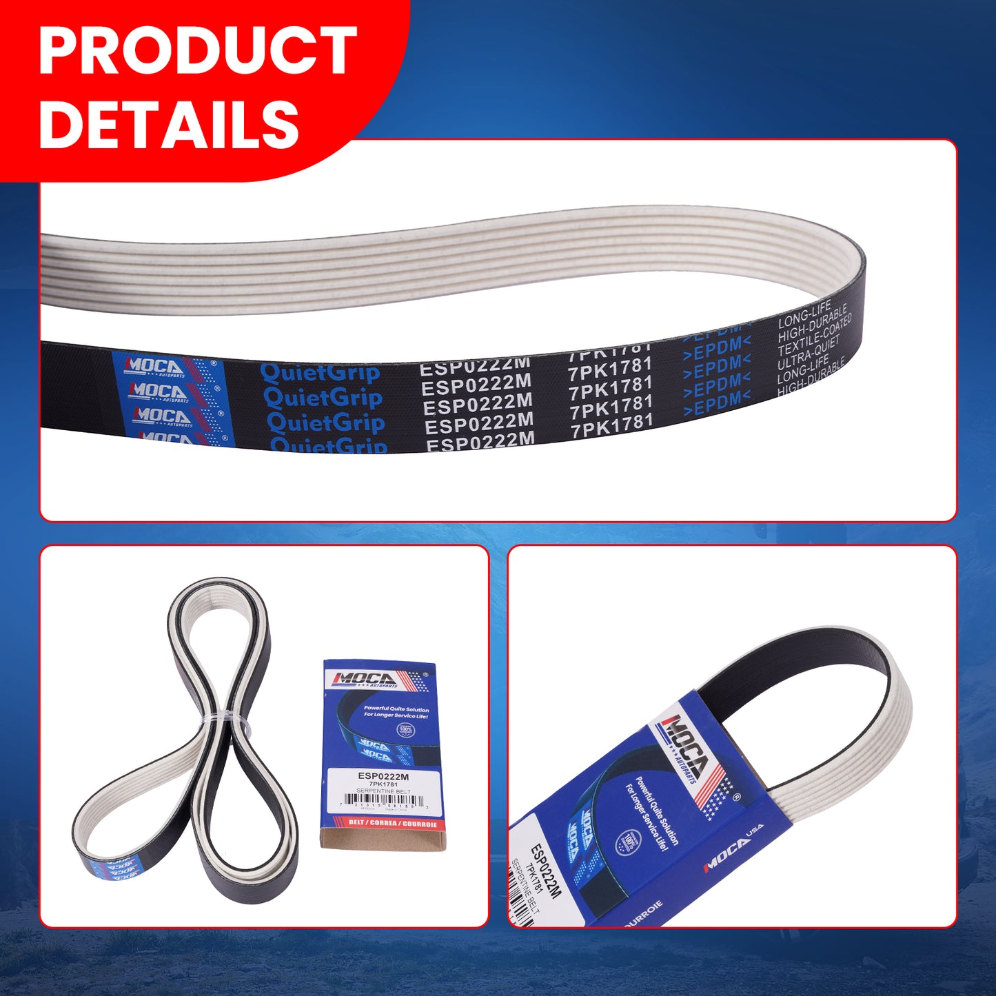 MOCA Serpentine Belt - ESP0222M