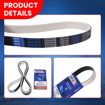 MOCA Serpentine Belt - ESP0222M
