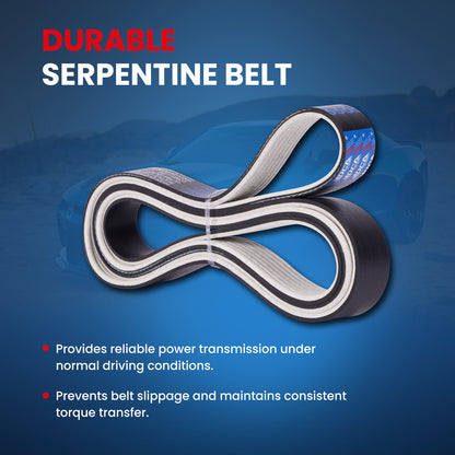 MOCA Serpentine Belt - ESP0226M