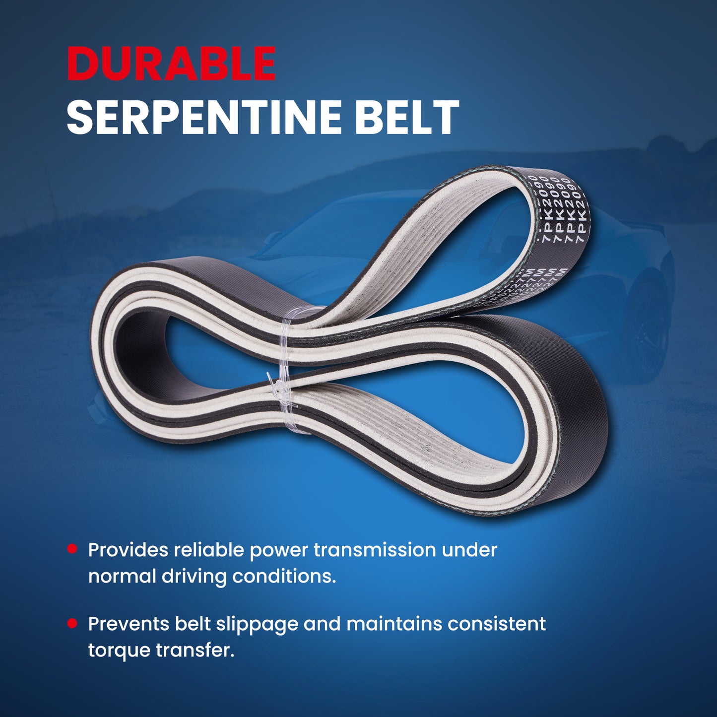 MOCA Serpentine Belt - ESP0227M