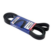MOCA Serpentine Belt - ESP0238