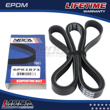 MOCA Serpentine Belt - ESP0259