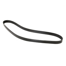 MOCA Serpentine Belt - ESP0263
