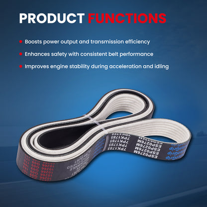 MOCA Serpentine Belt - ESP0276M