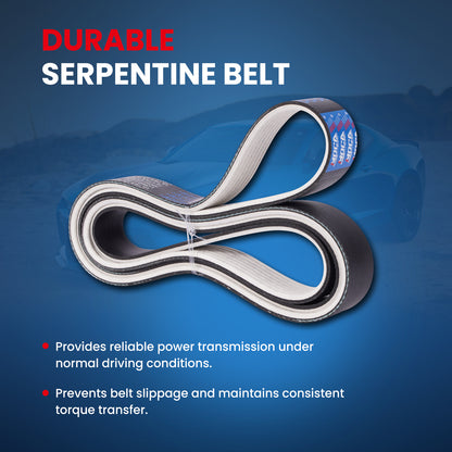 MOCA Serpentine Belt - ESP0276M