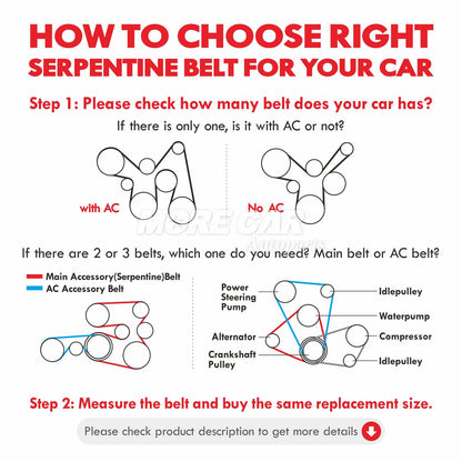 MOCA Serpentine Belt - ESP0283