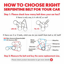 MOCA Serpentine Belt - ESP0283