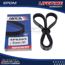MOCA Serpentine Belt - ESP0321