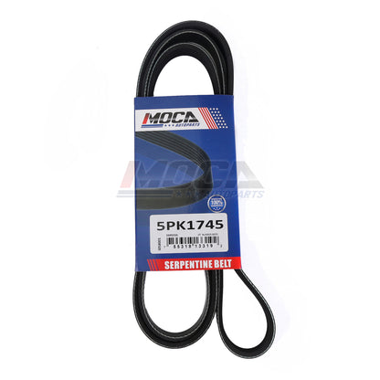 MOCA Serpentine Belt - ESP0330