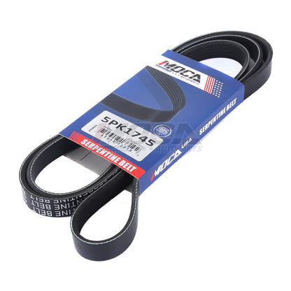 MOCA Serpentine Belt - ESP0330