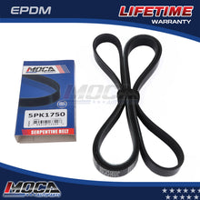 MOCA Serpentine Belt - ESP0331