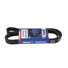 MOCA Serpentine Belt - ESP0336