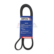 MOCA Serpentine Belt - ESP0342