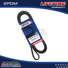 MOCA Serpentine Belt - ESP0343