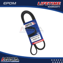 MOCA Serpentine Belt - ESP0344