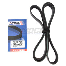 MOCA Serpentine Belt - ESP0386
