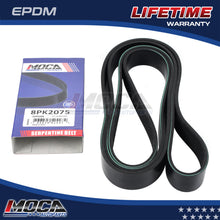 MOCA Serpentine Belt - ESP0398