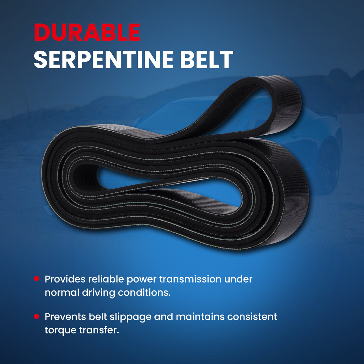 MOCA Serpentine Belt - ESP0523