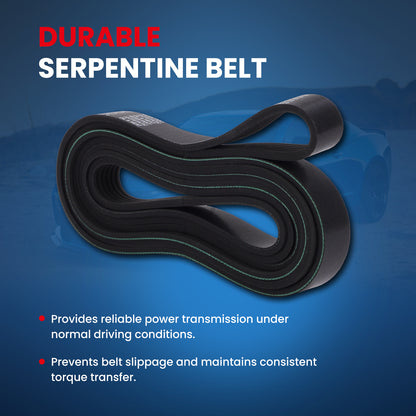 MOCA Serpentine Belt - ESP0527