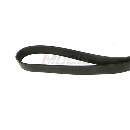 MOCA Serpentine Belt kit - ESP1103K3