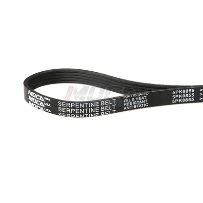 MOCA Serpentine Belt kit - ESP1109K3
