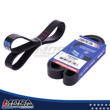MOCA Serpentine Belt kit - ESP2050K2