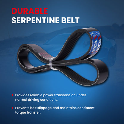 MOCA Serpentine Belt kit - ESP2050K2
