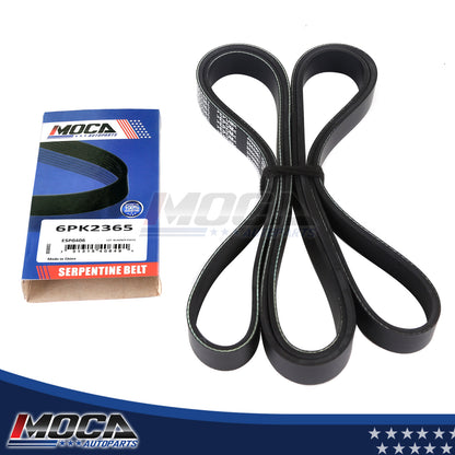 MOCA Serpentine Belt - ESP0406