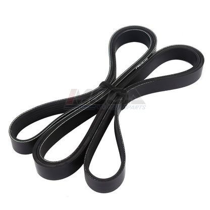 MOCA Serpentine Belt - ESP0406