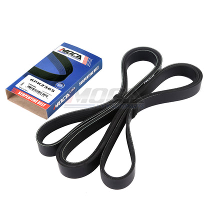 MOCA Serpentine Belt - ESP0406