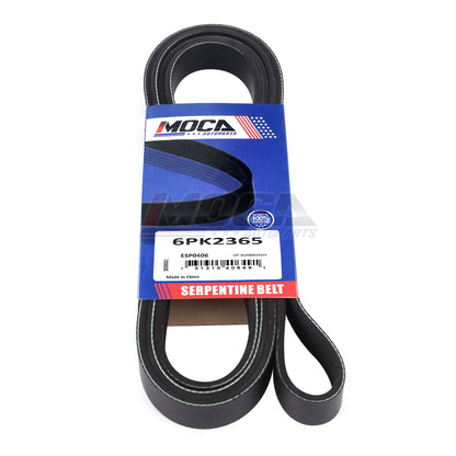 MOCA Serpentine Belt - ESP0406