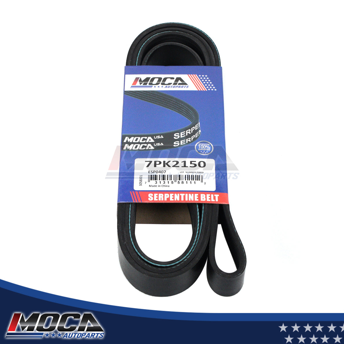 MOCA Serpentine Belt - ESP0407
