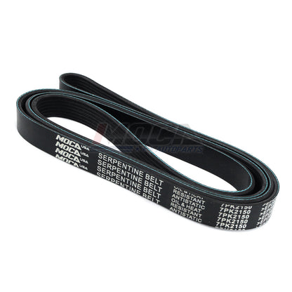MOCA Serpentine Belt - ESP0407