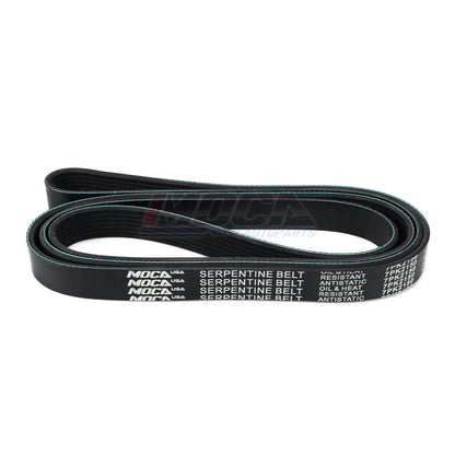MOCA Serpentine Belt - ESP0407
