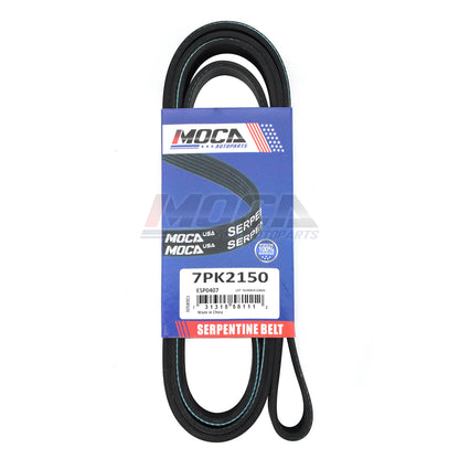 MOCA Serpentine Belt - ESP0407
