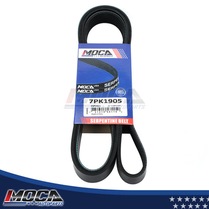MOCA Serpentine Belt - ESP0411