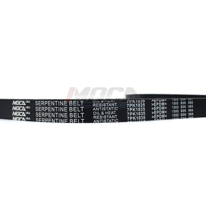 MOCA Serpentine Belt - ESP0412